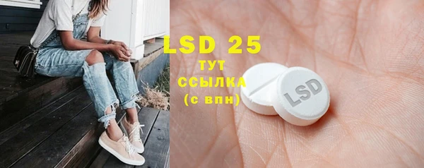 индика Володарск