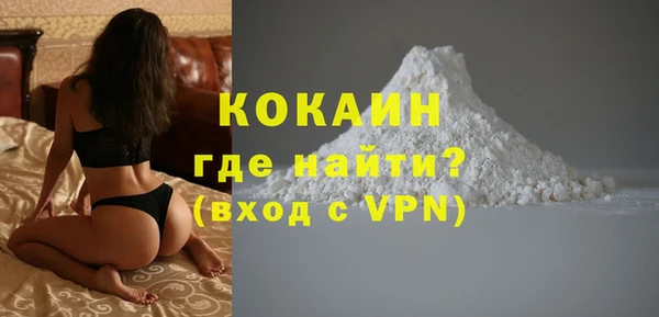 индика Володарск