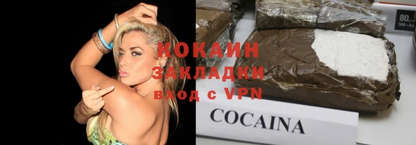 индика Володарск