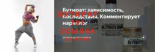 индика Володарск