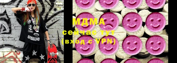 индика Володарск