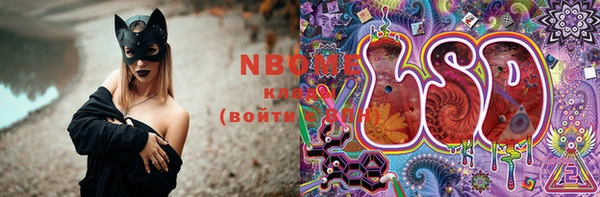 индика Володарск