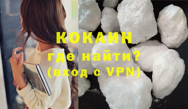 индика Володарск