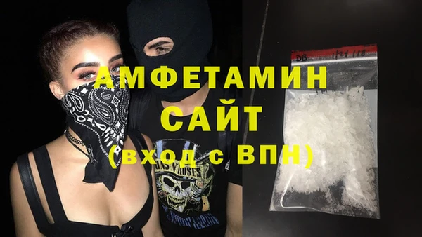 индика Володарск
