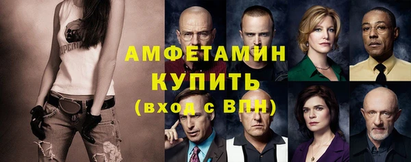 индика Володарск