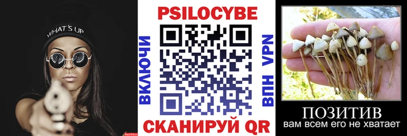 Галлюциногенные грибы ЛСД  Ермолино 